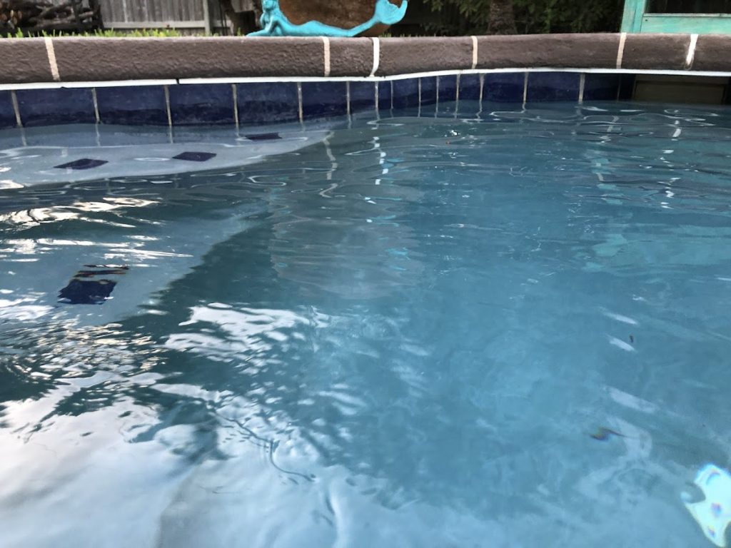 Eden Swimming Pools & Landscaping
