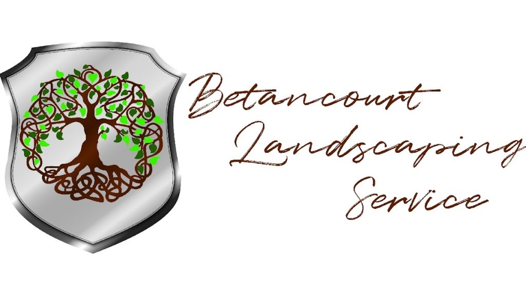 Betancourt Landscaping Service LLC