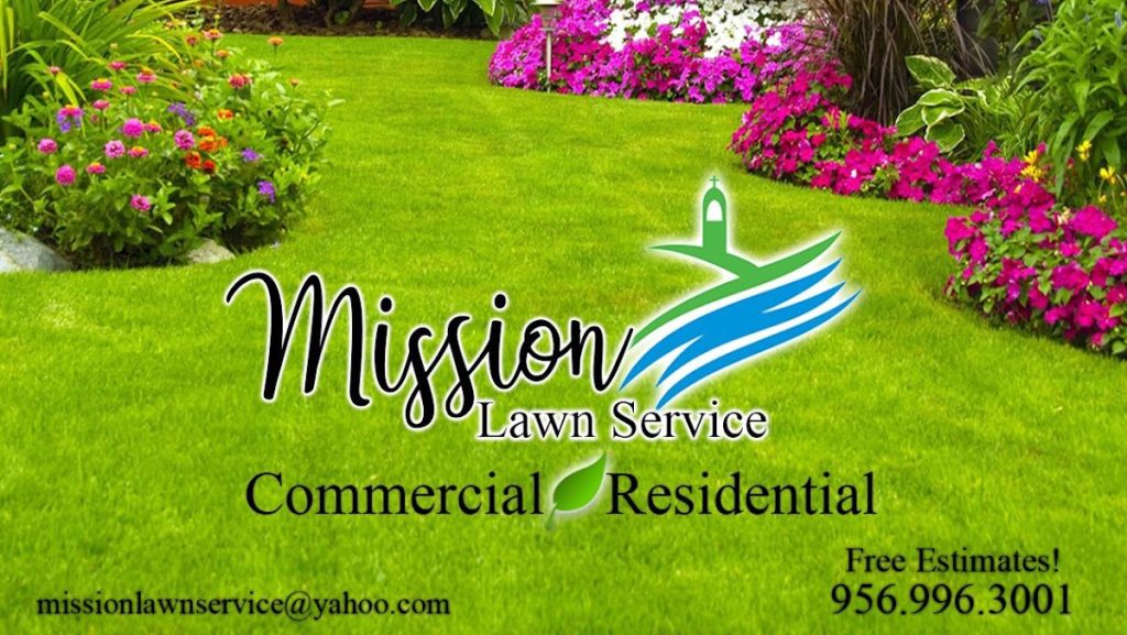 Mossion lawn services tree