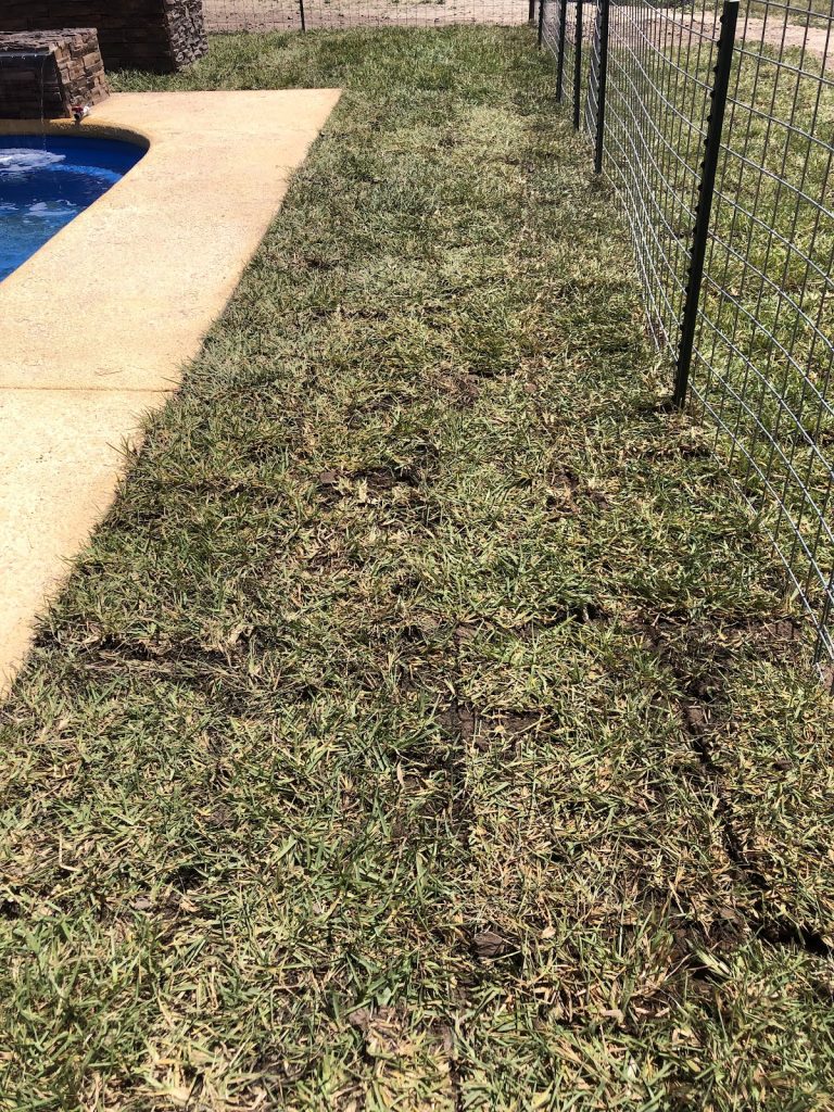 RGV Lawn Care and More