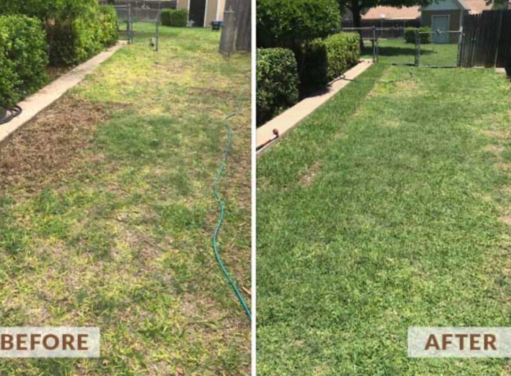The lawn Doctor